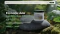 design a premium responsive website with advanced seo