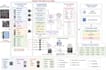 develop custom computer vision and deep learning solutions