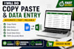 do accurate data entry, web research, and copy paste