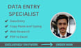 do excel data entry