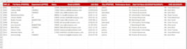 professional excel data cleanup