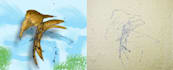 turn your child sketches into artwork   dad   moms