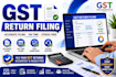 provide professional gst return filing services