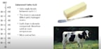 do content writing, PPT design and transcription