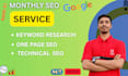 provide monthly on page SEO and technical service