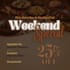 design professional canva promo