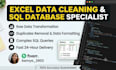 do excel data cleaning, sql queries and python data analysis