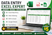 do data entry, excel data cleaning, and pdf to excel conver