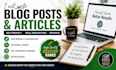 write SEO optimized blog posts and articles
