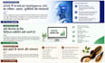 write SEO friendly hindi articles and blog posts