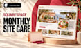 provide monthly squarespace maintenance and updates