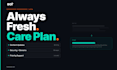 provide monthly squarespace maintenance and updates