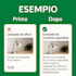 creo annunci ottimizzati per aumentare le vendite online