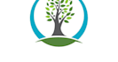 design high quality nice tree logo