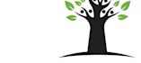 do modern tree logo design for your business