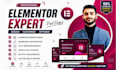 be your elementor expert and wordpress developer