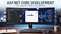 develop custom web application