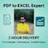 fast excel data entry, PDF to excel, vlookup in 2 hours