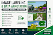 do image labeling, image annotation, and data tagging accurately