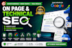 do technical SEO audit and on page optimization