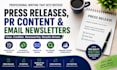 write a professional SEO press release for your business