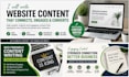 write professional  website content