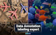 do data annotation, image, video, map and label data polygon and object tracking