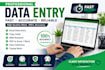 accurate data entry, excel, pdf