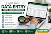 do accurate data entry, copy paste,excel data entry and web research