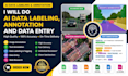 do ai data labeling, annotation and data entry