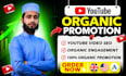 setup and manage high converting youtube ads campaign