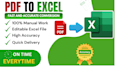 do PDF to excel conversion and data entry