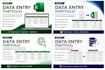 do fast and accurate excel data entry, copy paste, and web research
