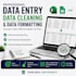 do data entry, data cleaning and data formatting