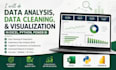 do data analysis, data cleaning, and visualization in excel, python, power bi