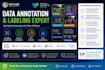 provide accurate ai data annotation and labelling services