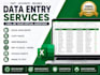 do accurate data entry, excel, copy paste, web research, PDF conversion
