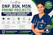 do dnp, bsn, msn, pmhnp projects, capstone, picot questions, ebp, nursing tasks