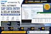 automate sap data entry and delay booking using excel vba