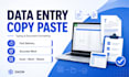do data entry and copy paste