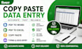 do accurate copy paste and data entry