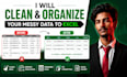 clean and organize your messy data to excel