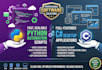 build custom python automation scripts and c sharp desktop applications