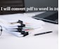 convert PDF to word document with accuracy