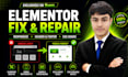 fix wordpress, elementor issues and responsive issues