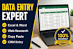 do advanced excel data entry, data cleaning, and data merging