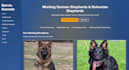 design a modern website for your small business