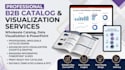 create b2b wholesale catalog, data visualization slides, infographic powerpoint