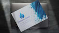 do a professional business card and modern brand identity