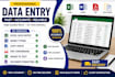 do accurate data entry, copy paste, excel and word typing